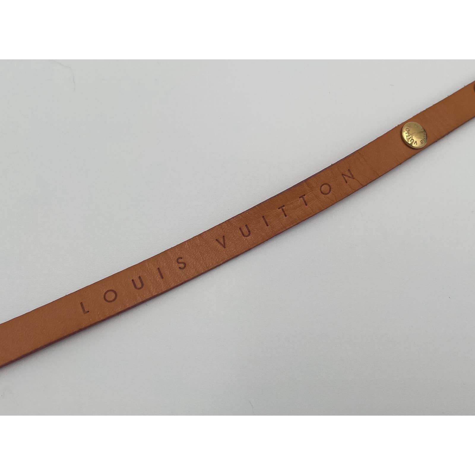 Louis Vuitton Florentine Belt Bag - Le Look