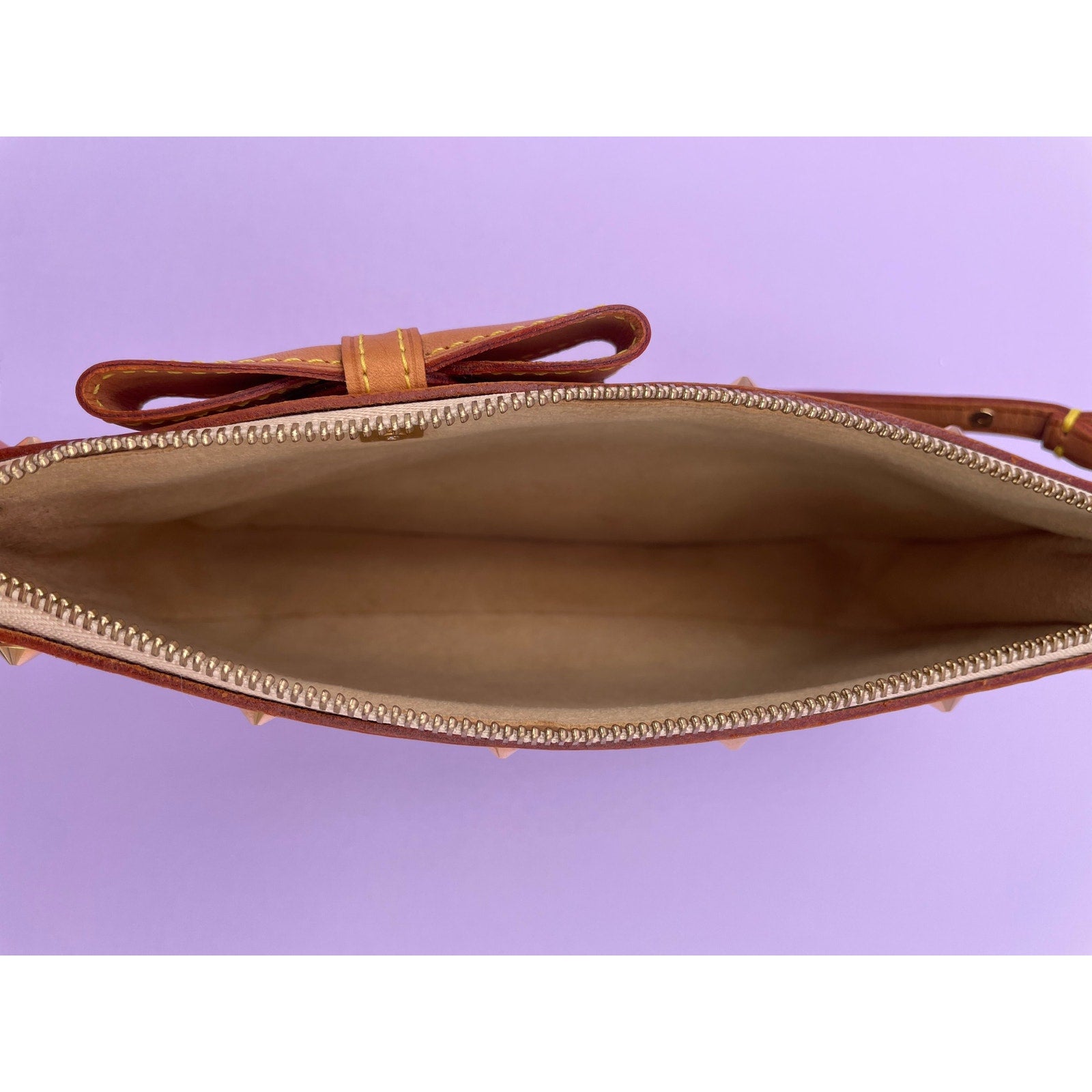 Never Worn Louis Vuitton Cherry Blossom Pochette - Le Look
